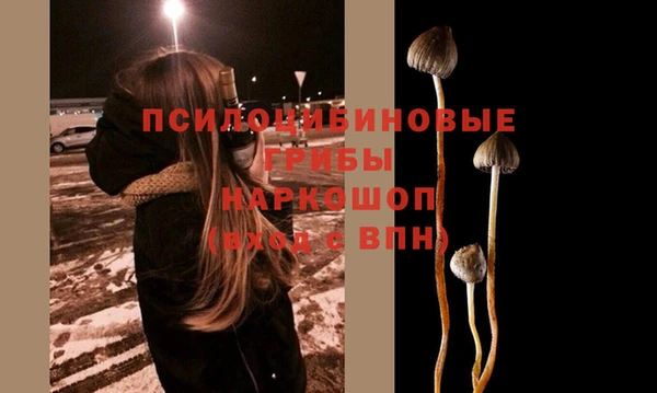 СК Дмитриев