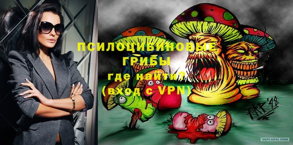 крисы Болхов