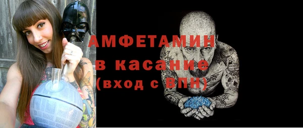 индика Гусев