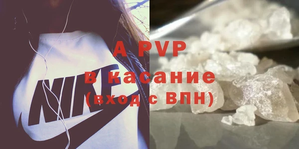 амф Гусиноозёрск