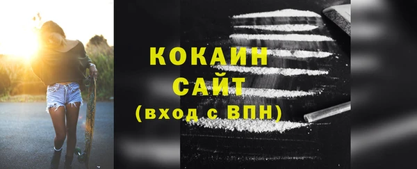 индика Гусев