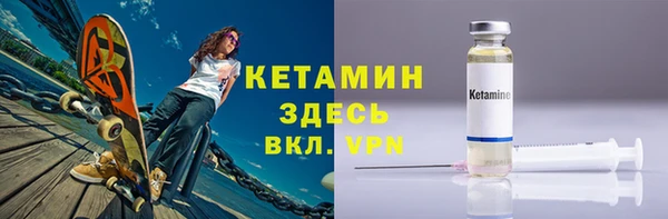 индика Гусев