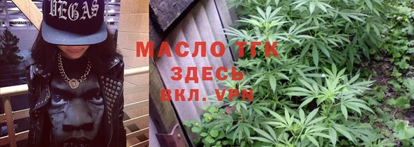 индика Гусев