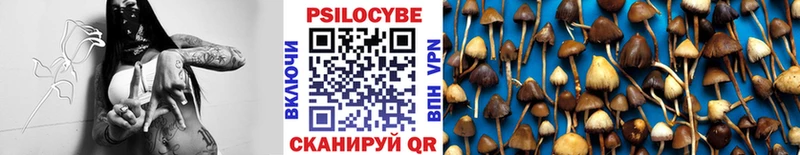 Галлюциногенные грибы Psilocybe  сайты даркнета клад  Ейск 